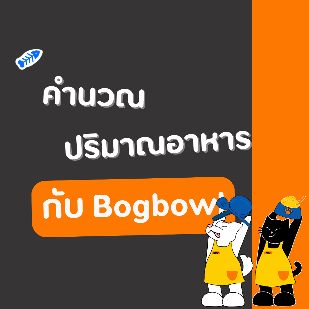 คำนวณความต้องการอาหารน้องหมาและน้องแมวกับ bogbowl