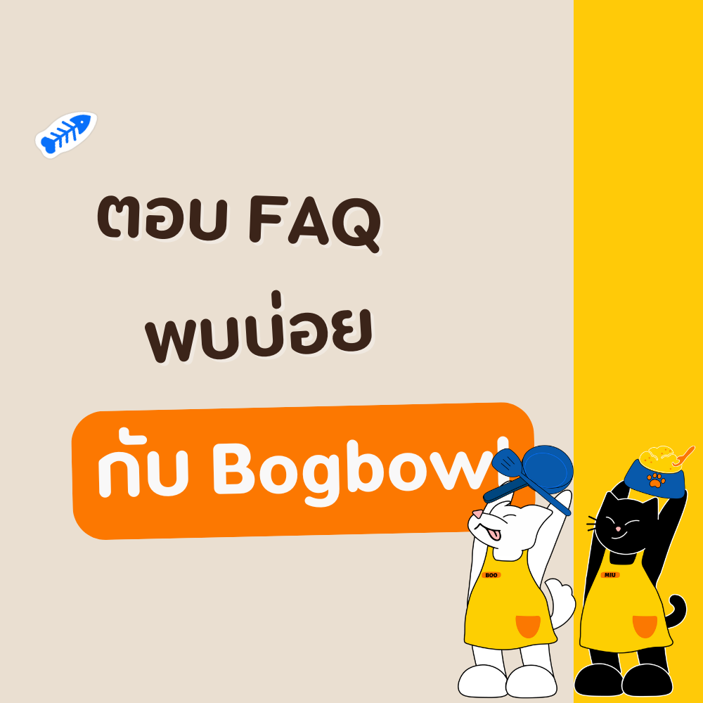 Bogbowl FAQ banner